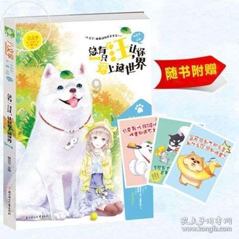 电脑桌面被已固定的磁贴覆盖-知识星球平台,专注知识分享与学习